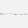Tet1 sgRNA CRISPR Lentivector set (Mouse)